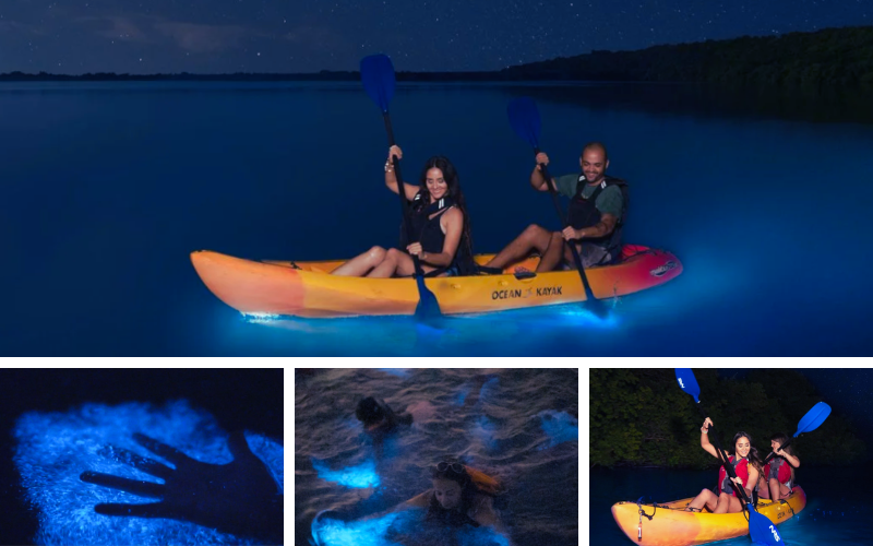 Kayaking in Puerto Rico's bioluminescent bays